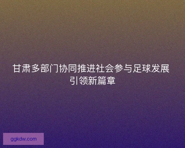 甘肃多部门协同推进社会参与足球发展 引领新篇章