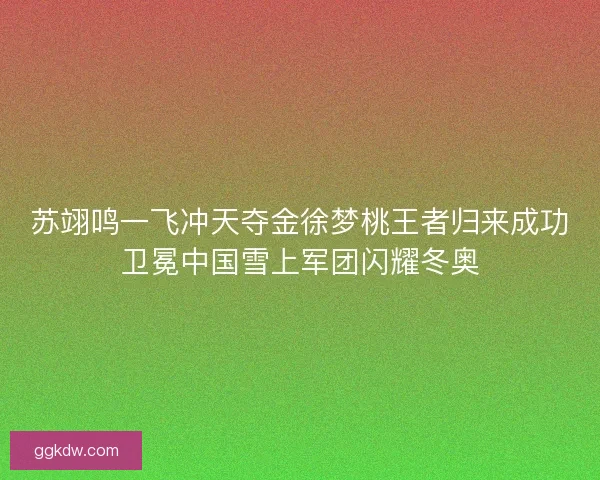 苏翊鸣一飞冲天夺金徐梦桃王者归来成功卫冕中国雪上军团闪耀冬奥